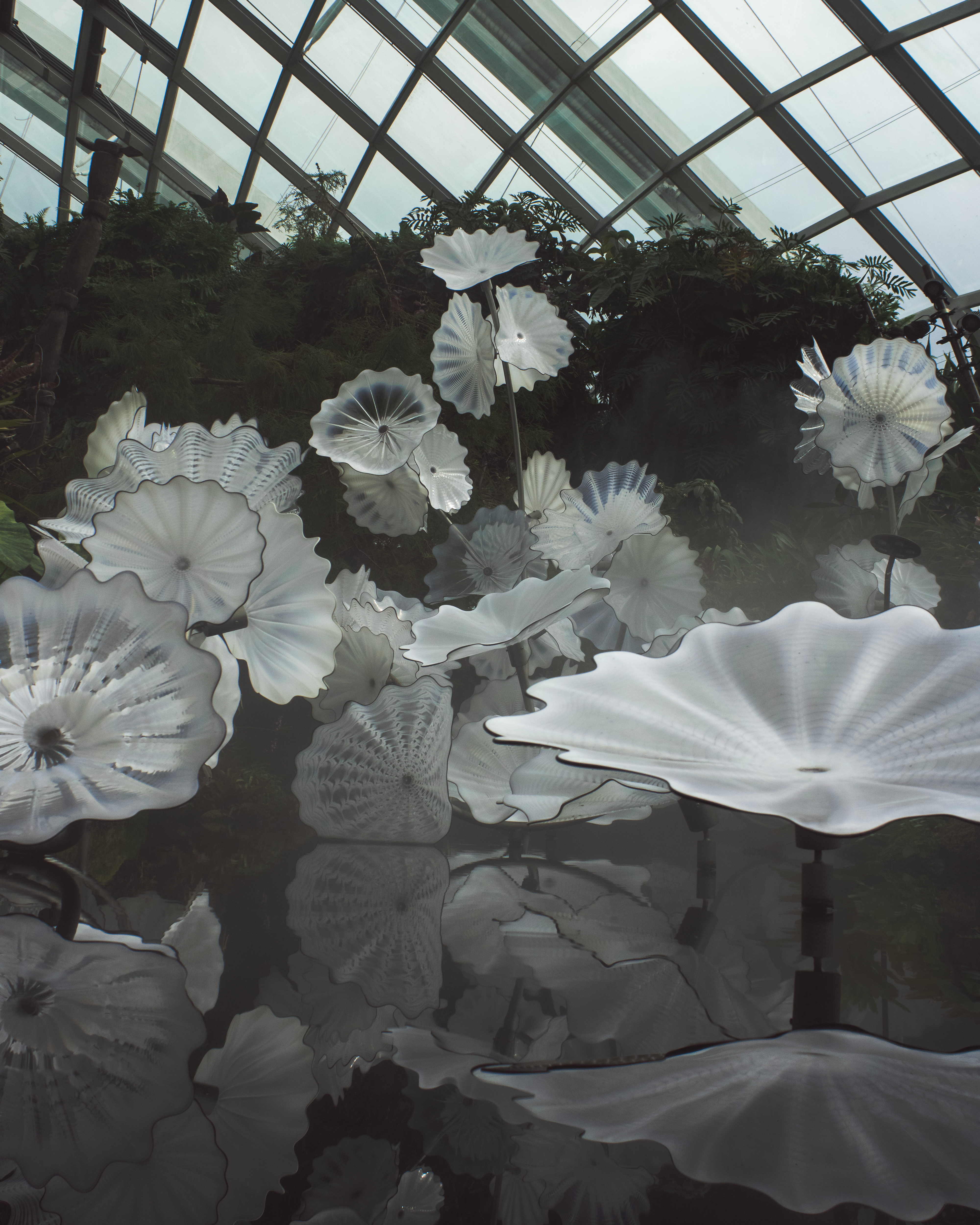 Cloud Forest - Singapore