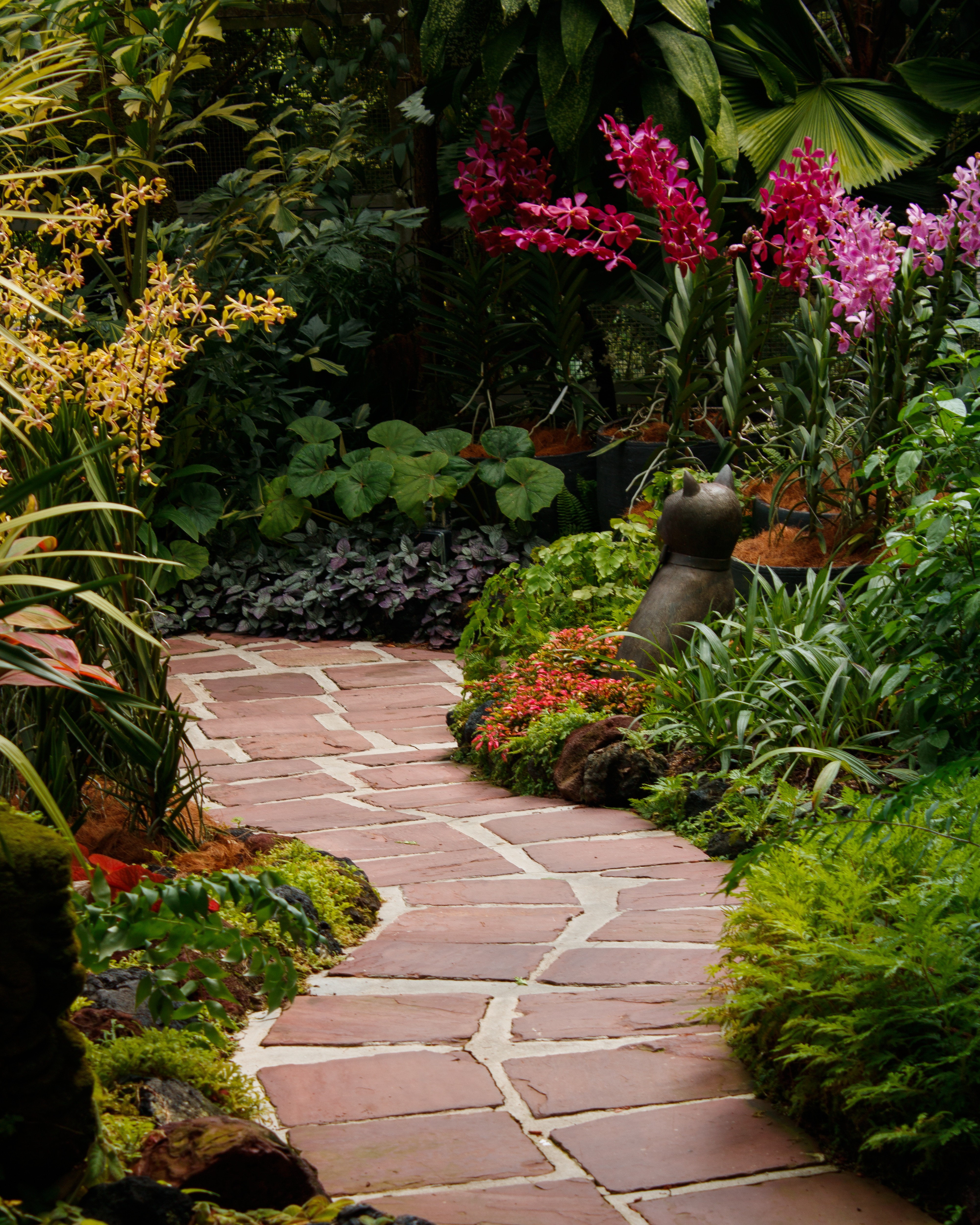 Botanical Gardens - Singapore